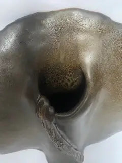 vase-ceramique-maillee-forme-libre-annees-60-signe-dessus