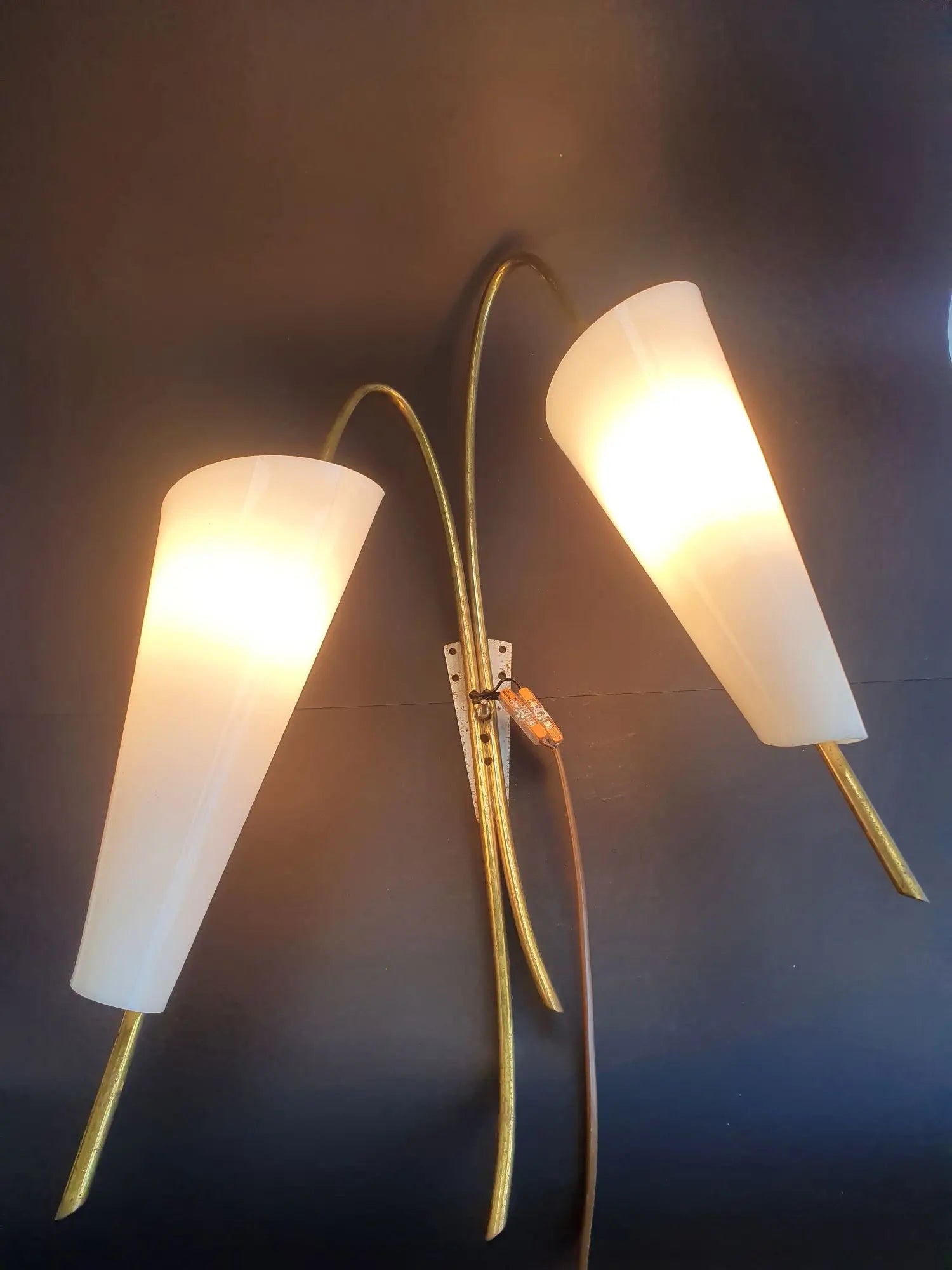 grande-applique-hanns-hoffmann-lederer-annees-1950-ancienne-vintage-allumee-1