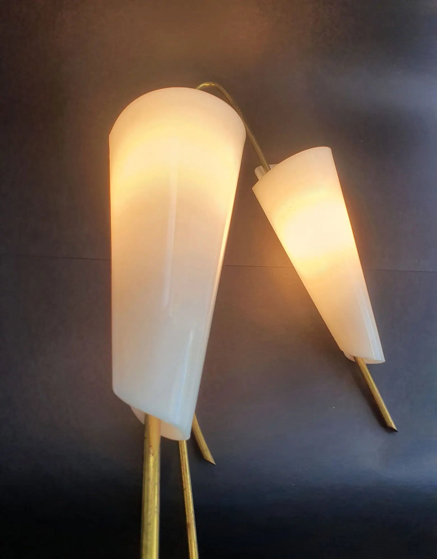 grande-applique-hanns-hoffmann-lederer-annees-1950-ancienne-vintage-allumee-2