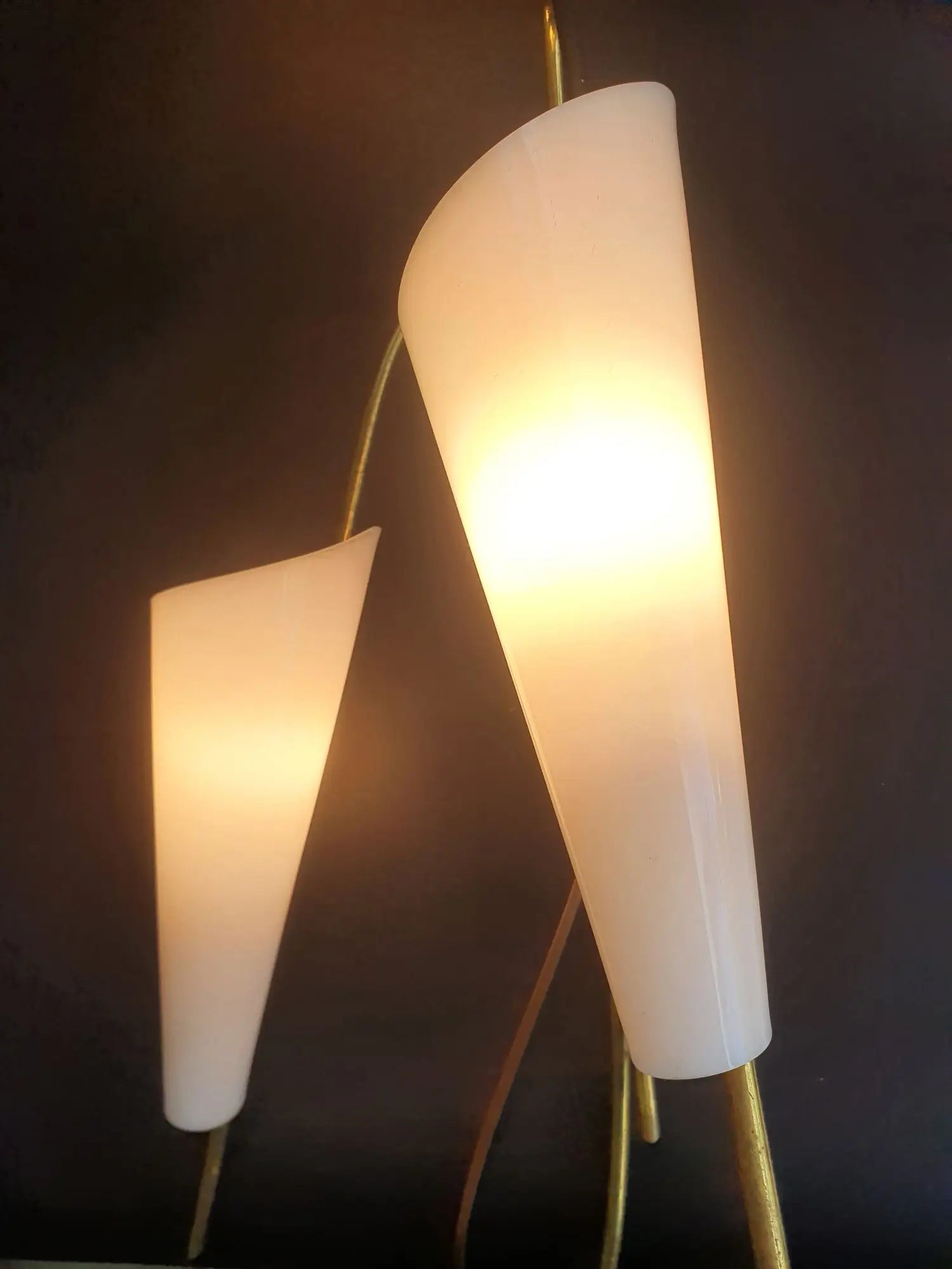 grande-applique-hanns-hoffmann-lederer-annees-1950-ancienne-vintage-allumee-3