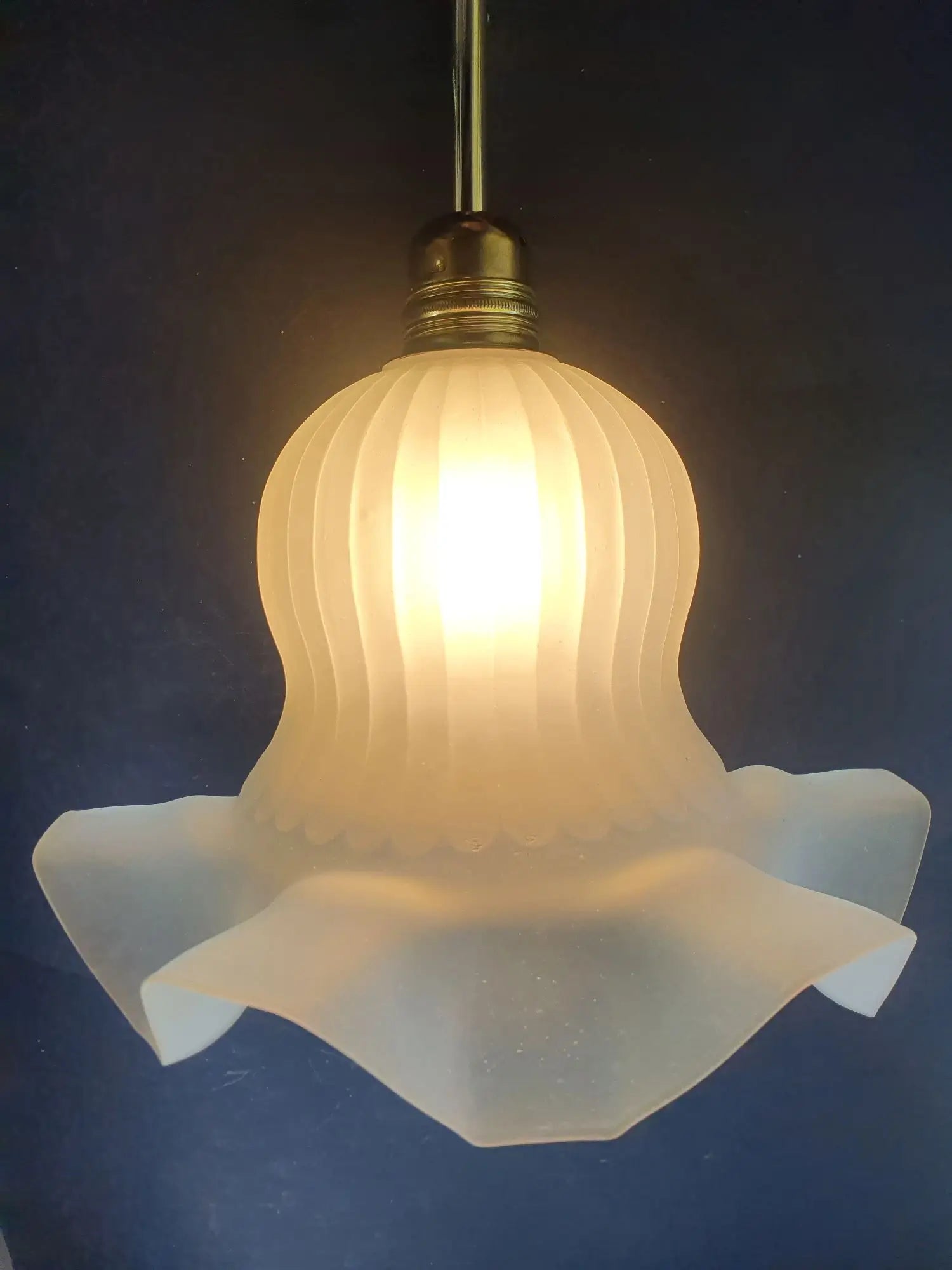 grande-suspension-baladeuse-art-deco-annees-50-vintage-france-lectrifiee-neuf-allumee-3