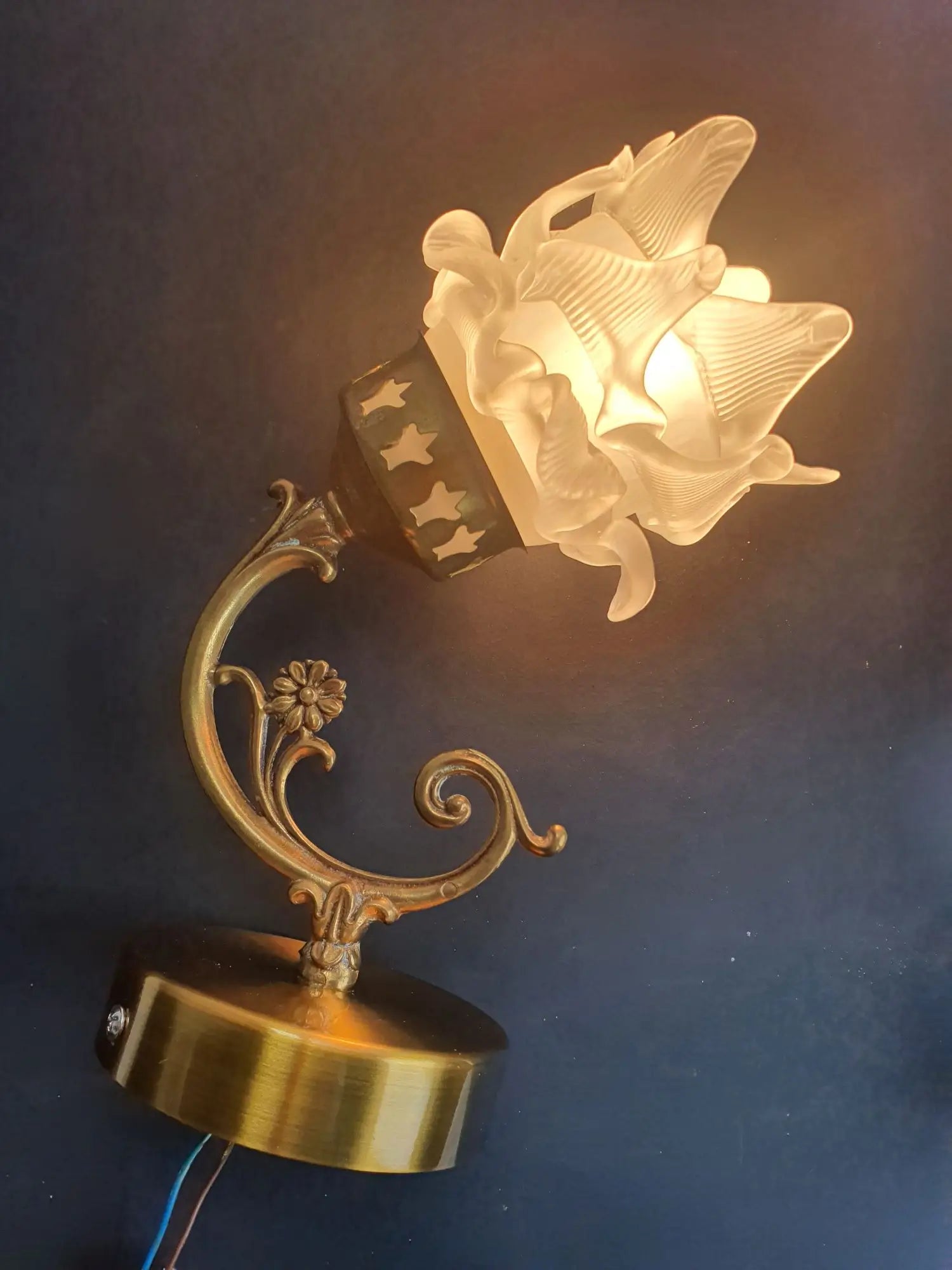 paire-appliques-murales-art-deco-roses-annees-50-vintage-france-allumee-1