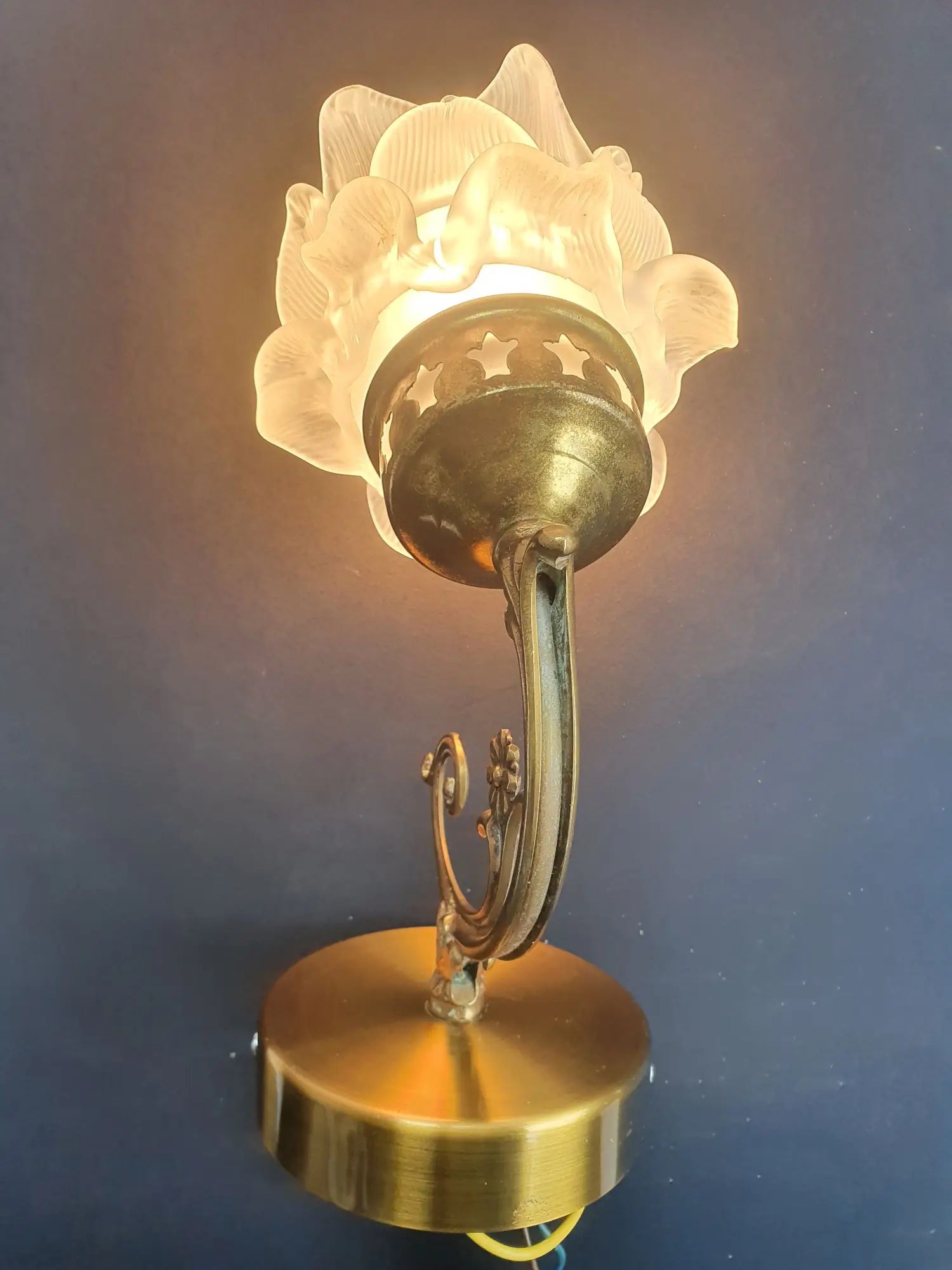 paire-appliques-murales-art-deco-roses-annees-50-vintage-france-allumee-2