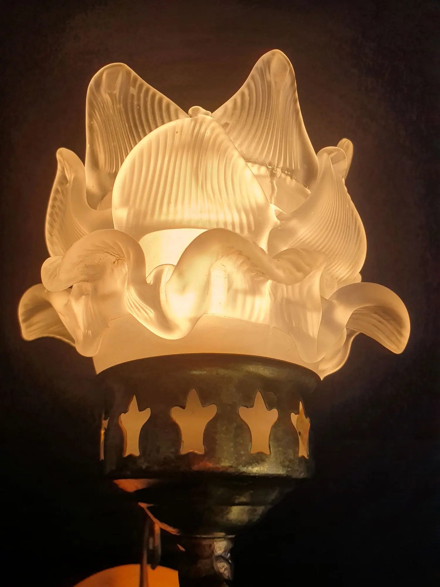 paire-appliques-murales-art-deco-roses-annees-50-vintage-france-allumee-3