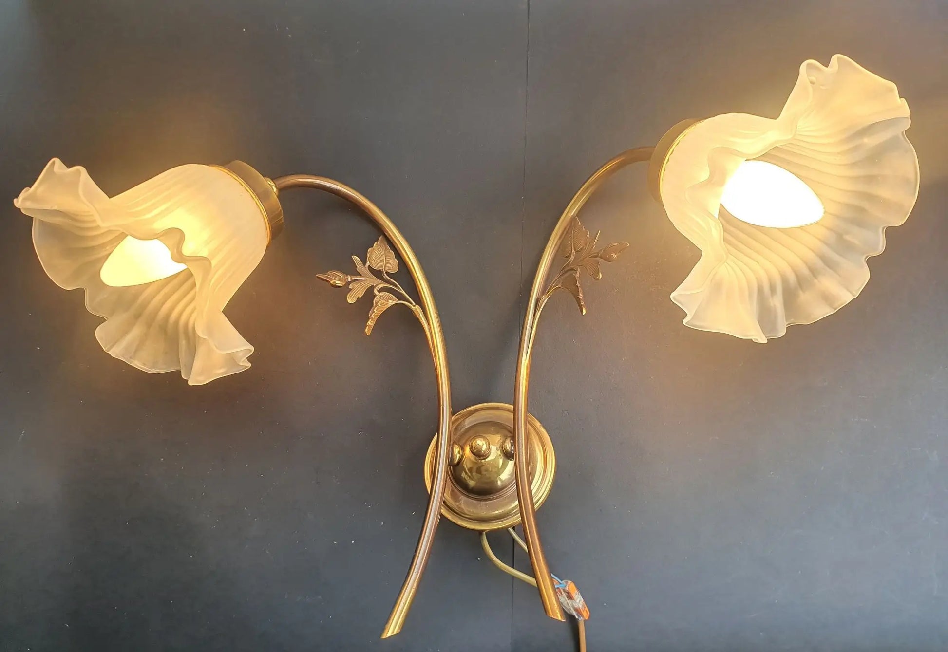 paire-appliques-murales-double-art-deco-tulipe-annees-50-vintage-france-allumee-2