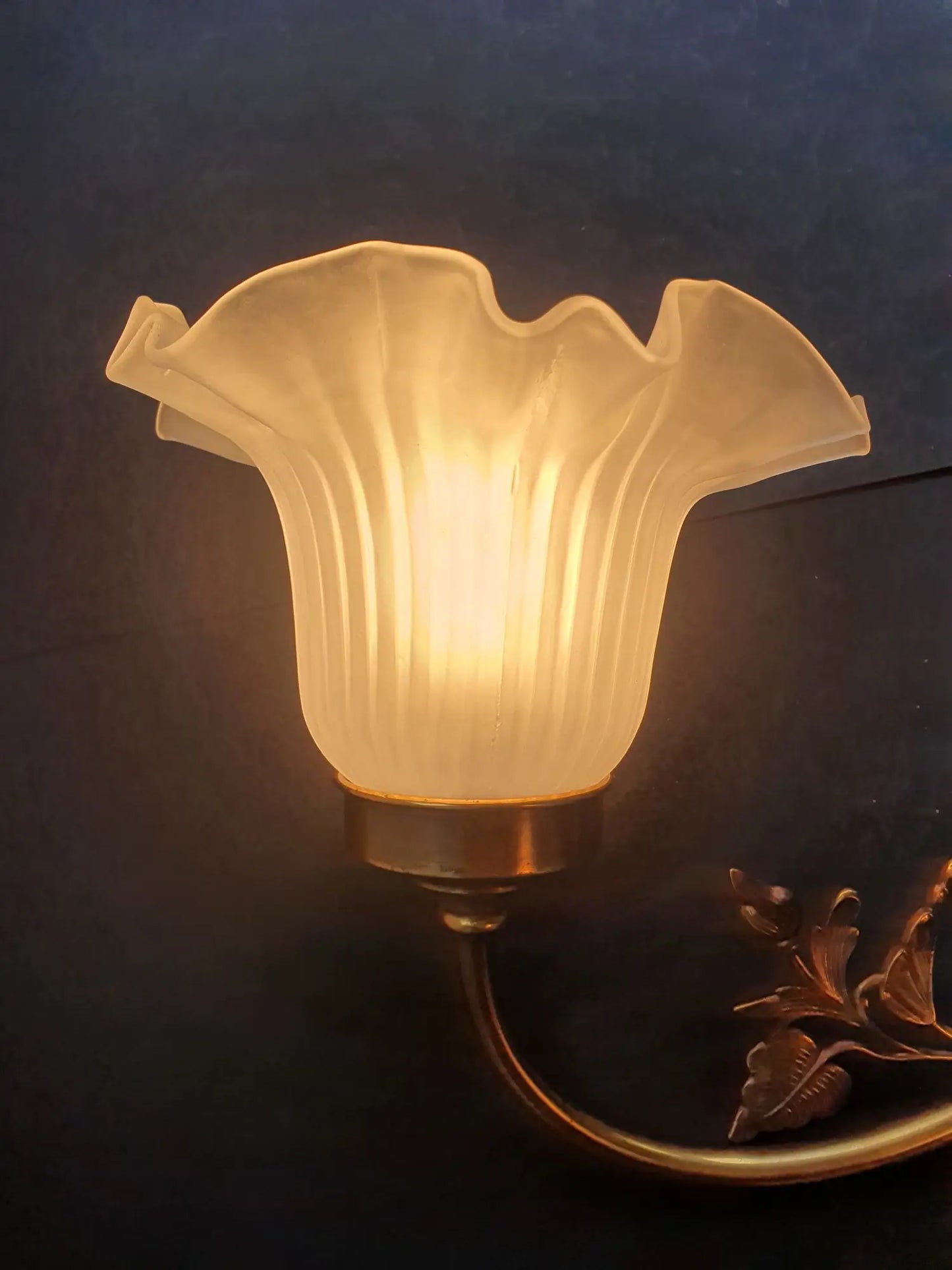 paire-appliques-murales-double-art-deco-tulipe-annees-50-vintage-france-allumee-3